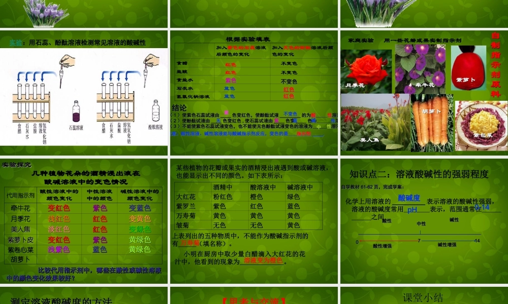 人教初中化学九下《10课题1常见的酸和碱》PPT课件 (24).ppt