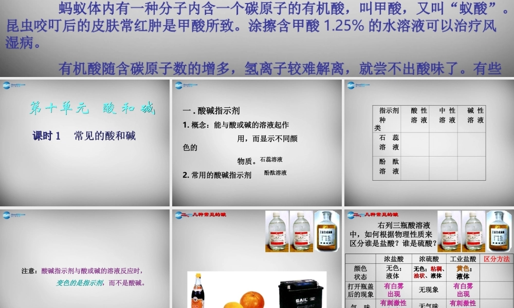 人教初中化学九下《10课题1常见的酸和碱》PPT课件 (22).ppt