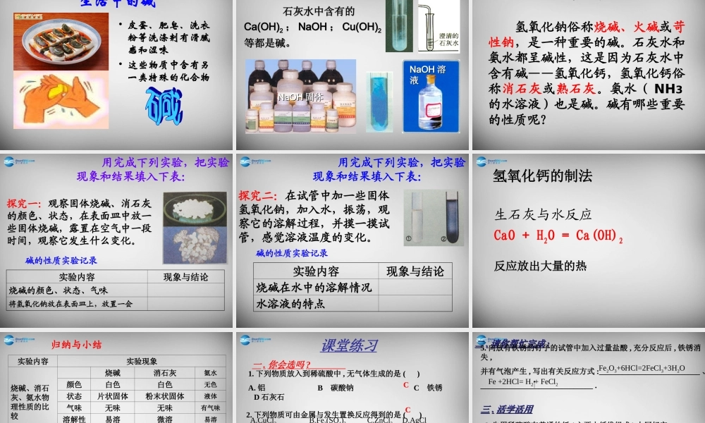 人教初中化学九下《10课题1常见的酸和碱》PPT课件 (22).ppt