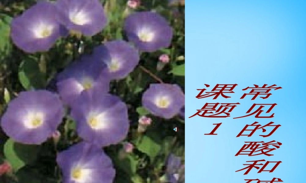 人教初中化学九下《10课题1常见的酸和碱》PPT课件 (26).ppt