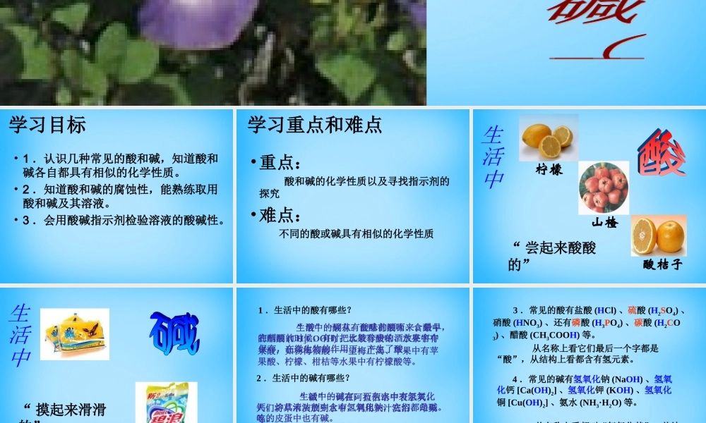 人教初中化学九下《10课题1常见的酸和碱》PPT课件 (26).ppt