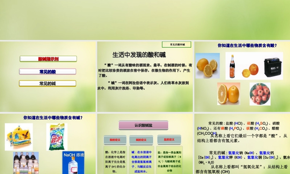 人教初中化学九下《10课题1常见的酸和碱》PPT课件 (28).ppt