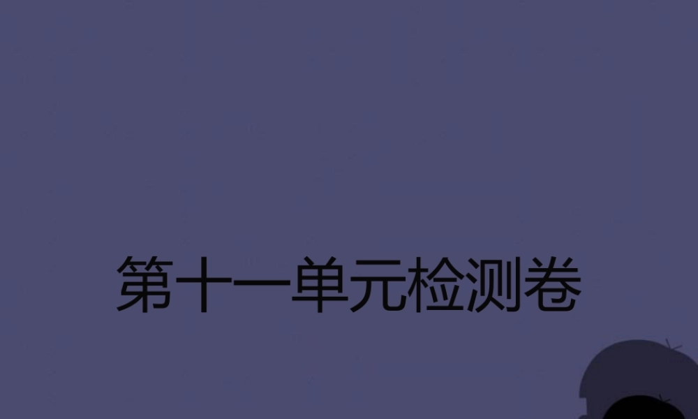 人教初中化学九下《11第十一单元盐化肥》PPT课件 (1).ppt
