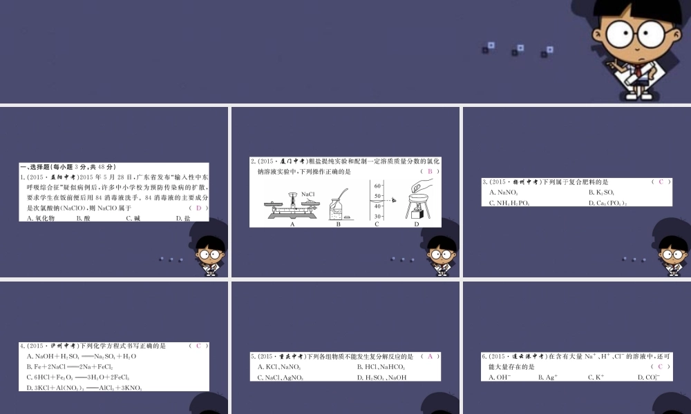 人教初中化学九下《11第十一单元盐化肥》PPT课件 (1).ppt