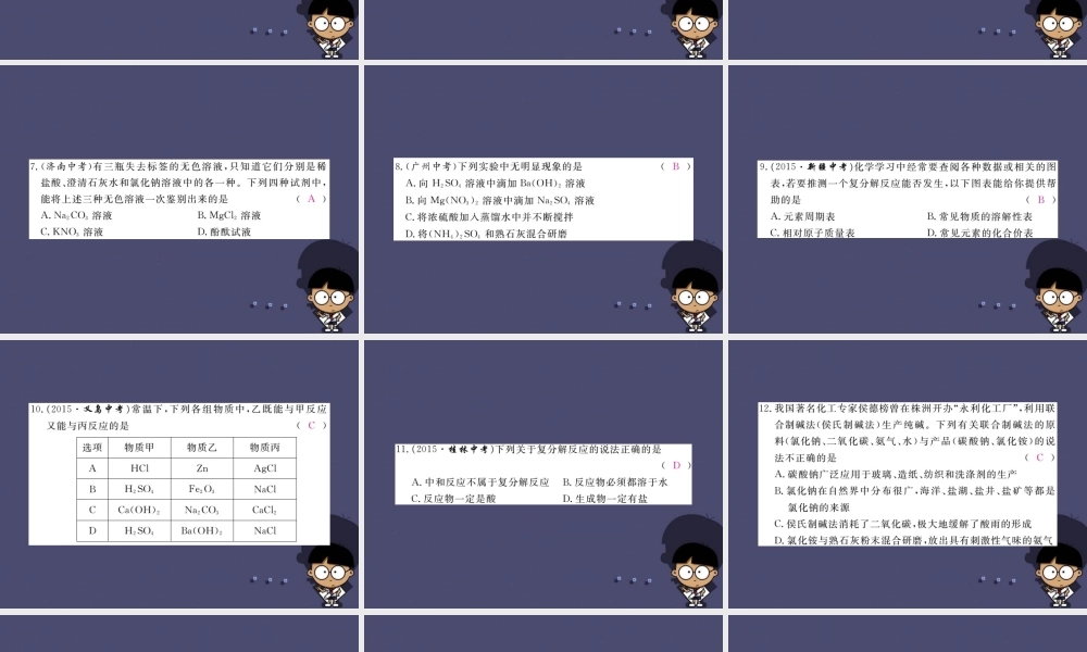 人教初中化学九下《11第十一单元盐化肥》PPT课件 (1).ppt