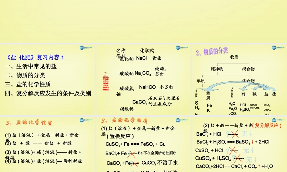 人教初中化学九下《11第十一单元盐化肥》PPT课件 (2).ppt