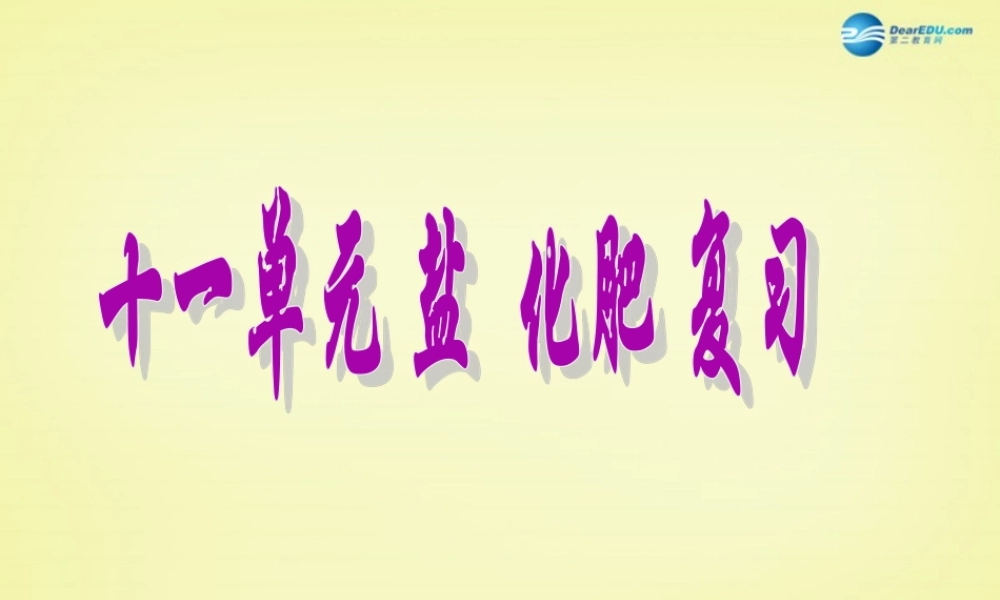 人教初中化学九下《11第十一单元盐化肥》PPT课件 (4).ppt