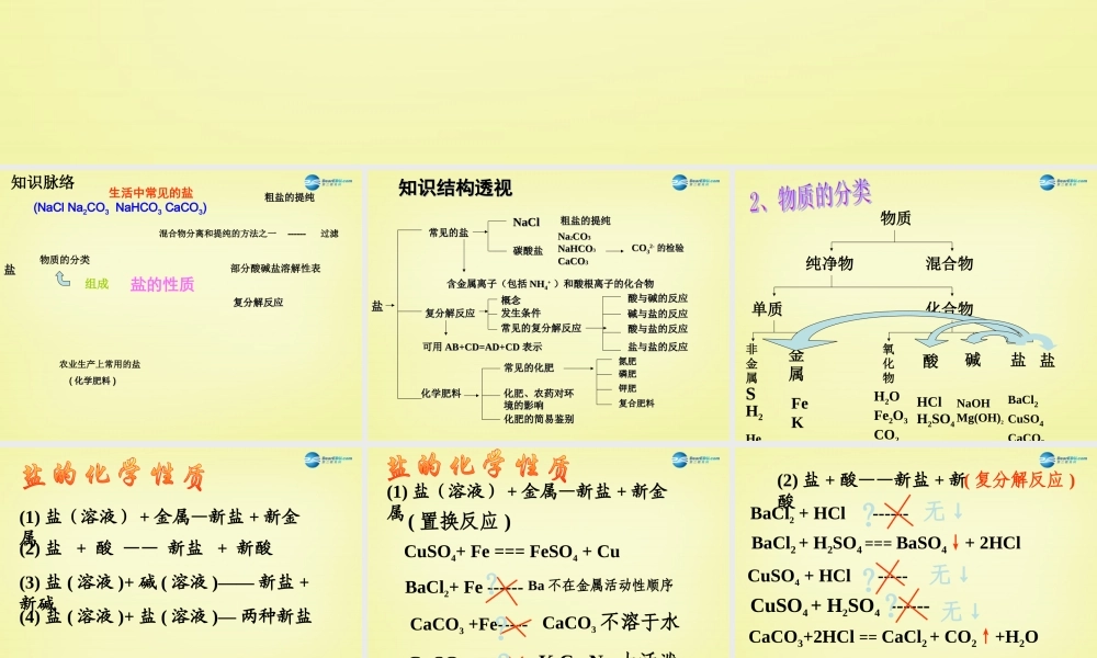 人教初中化学九下《11第十一单元盐化肥》PPT课件 (4).ppt
