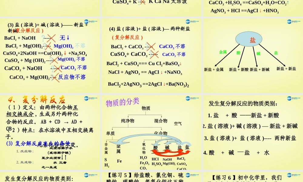 人教初中化学九下《11第十一单元盐化肥》PPT课件 (4).ppt