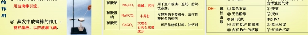 人教初中化学九下《11第十一单元盐化肥》PPT课件 (4).ppt