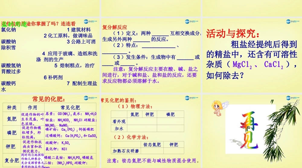 人教初中化学九下《11第十一单元盐化肥》PPT课件 (3).ppt