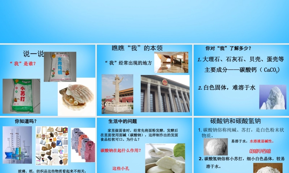 人教初中化学九下《11第十一单元盐化肥》PPT课件 (5).ppt