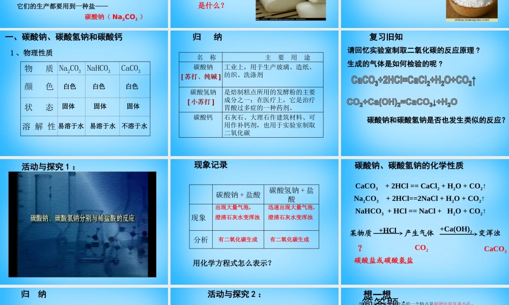 人教初中化学九下《11第十一单元盐化肥》PPT课件 (5).ppt