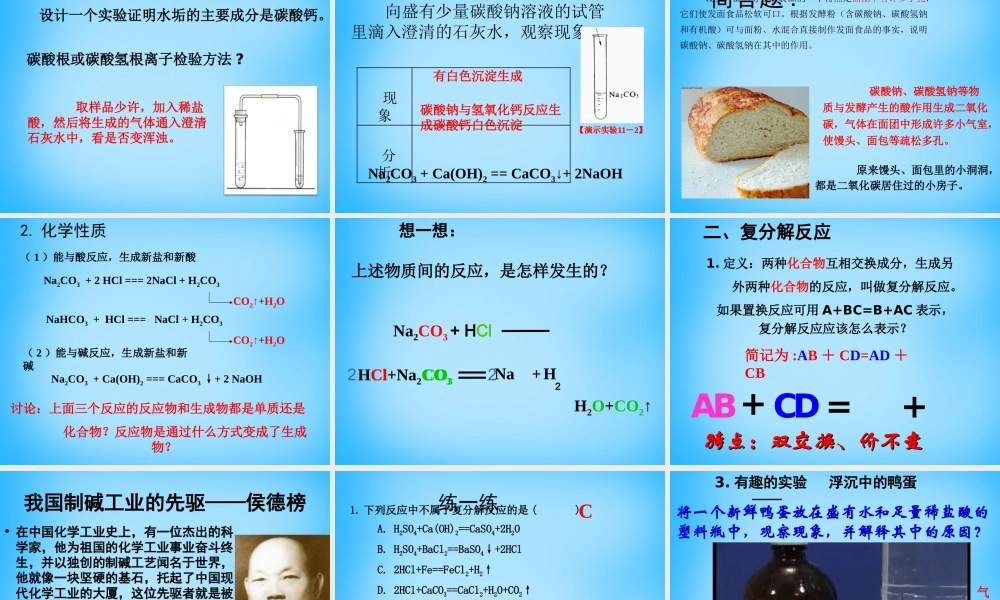 人教初中化学九下《11第十一单元盐化肥》PPT课件 (5).ppt