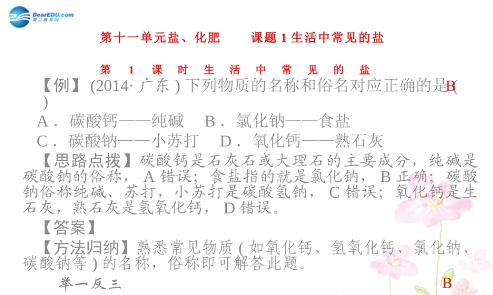 人教初中化学九下《11课题1生活中常见的盐》PPT课件 (2).ppt