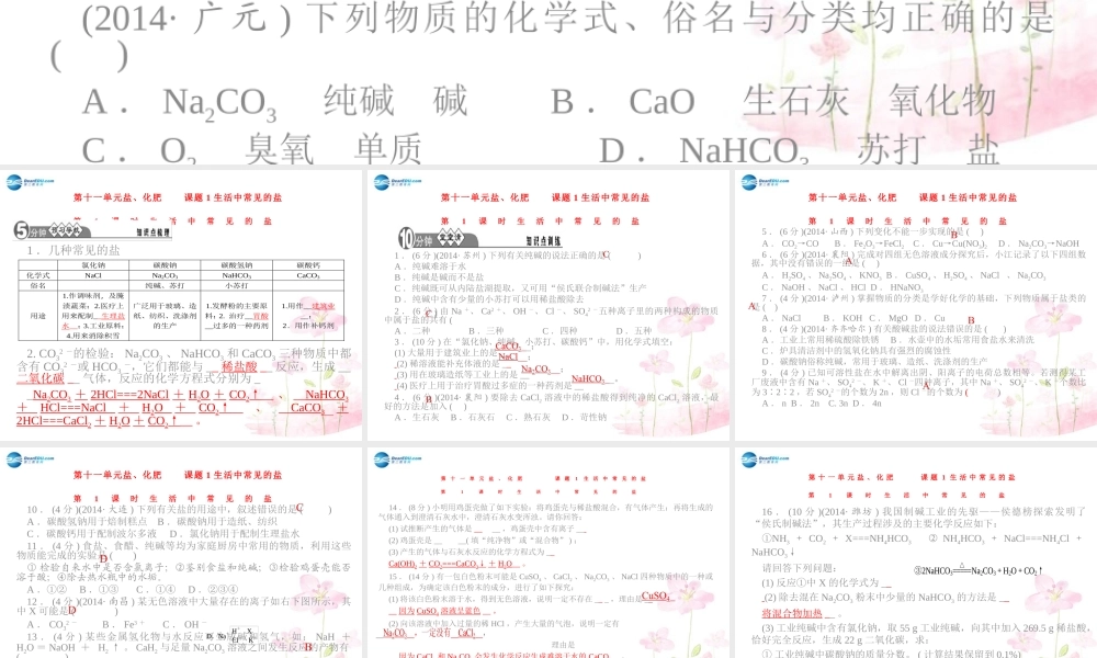 人教初中化学九下《11课题1生活中常见的盐》PPT课件 (2).ppt