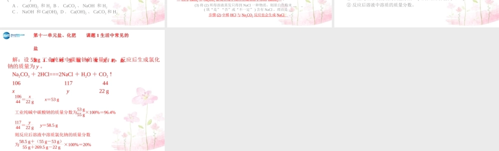 人教初中化学九下《11课题1生活中常见的盐》PPT课件 (2).ppt