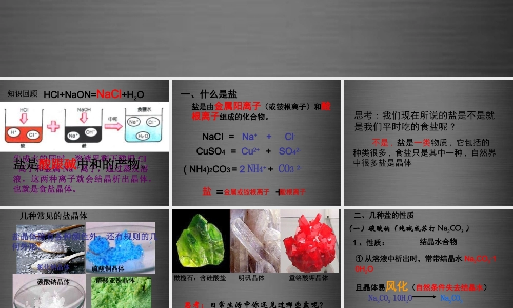 人教初中化学九下《11课题1生活中常见的盐》PPT课件 (4).ppt