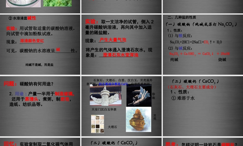 人教初中化学九下《11课题1生活中常见的盐》PPT课件 (4).ppt