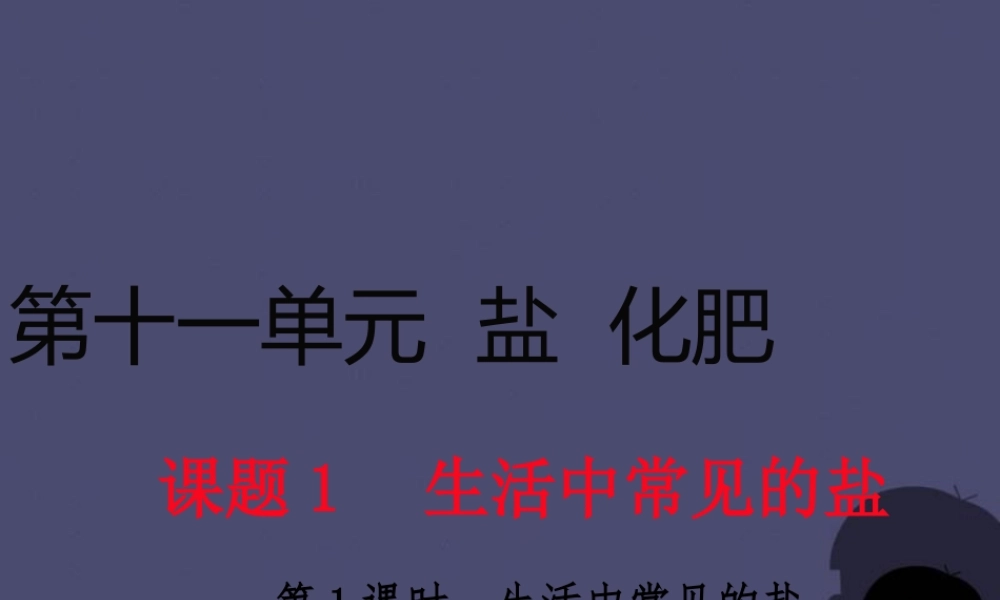 人教初中化学九下《11课题1生活中常见的盐》PPT课件 (3).ppt