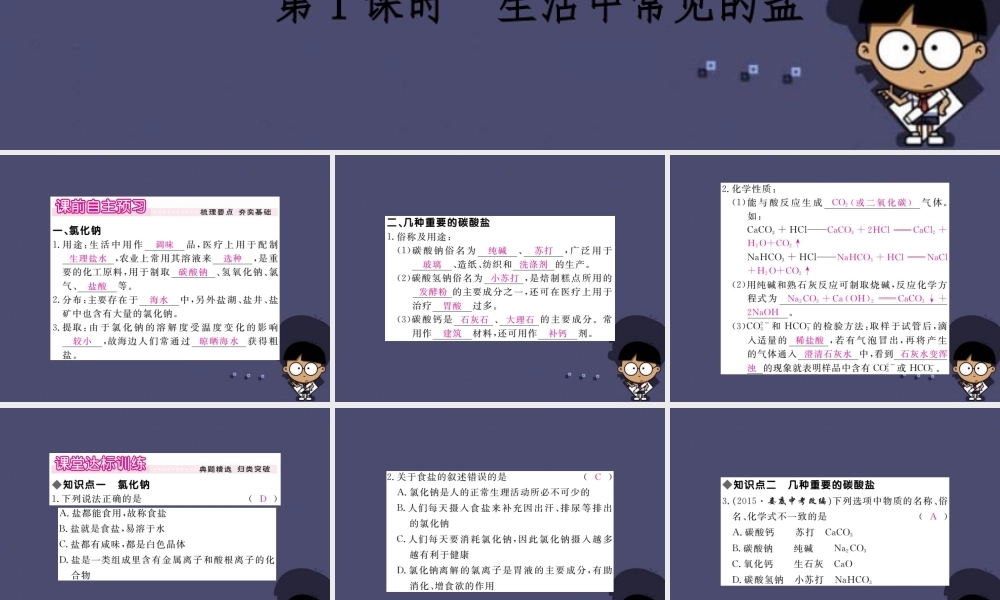 人教初中化学九下《11课题1生活中常见的盐》PPT课件 (3).ppt