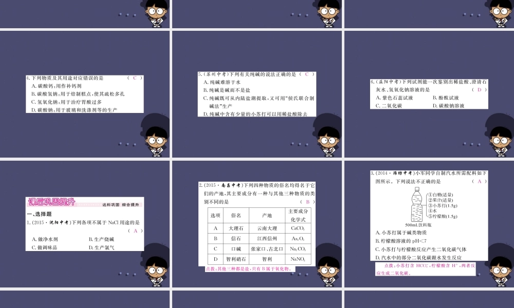 人教初中化学九下《11课题1生活中常见的盐》PPT课件 (3).ppt