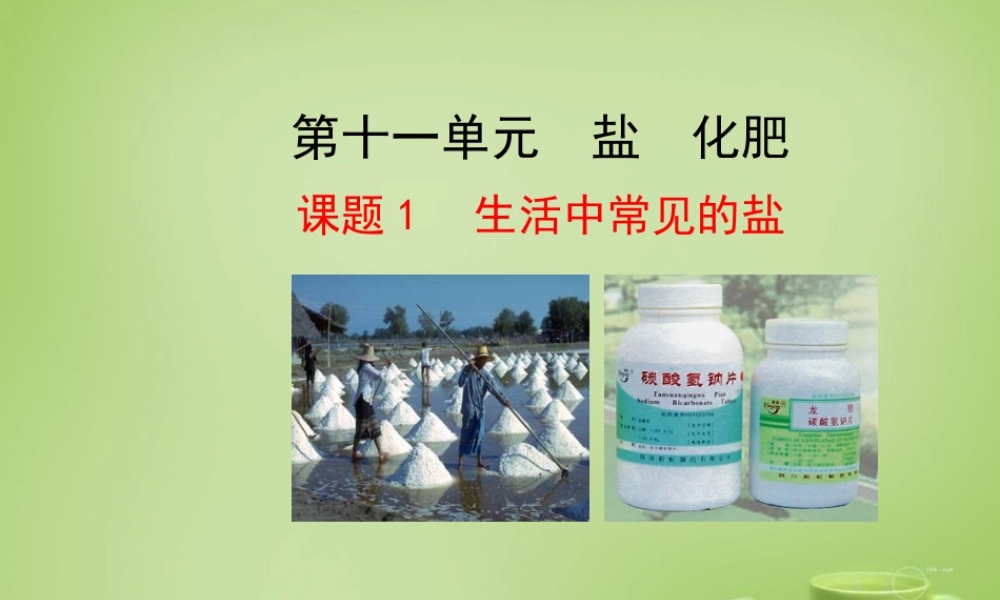 人教初中化学九下《11课题1生活中常见的盐》PPT课件 (5).ppt
