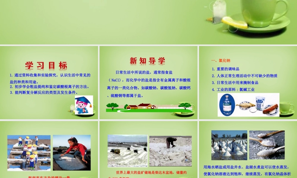 人教初中化学九下《11课题1生活中常见的盐》PPT课件 (5).ppt