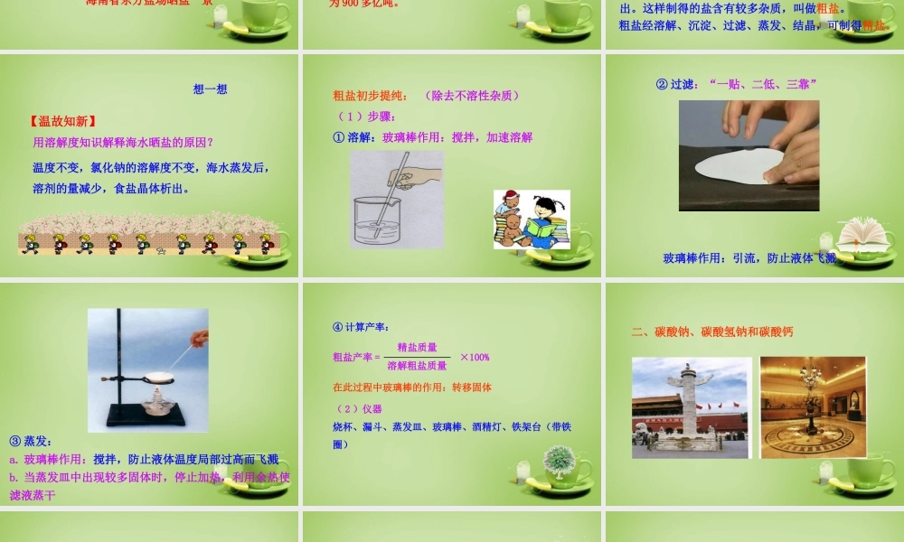 人教初中化学九下《11课题1生活中常见的盐》PPT课件 (5).ppt