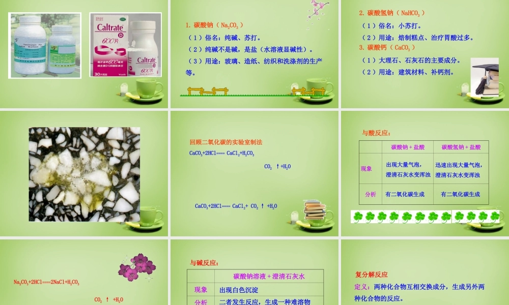 人教初中化学九下《11课题1生活中常见的盐》PPT课件 (5).ppt