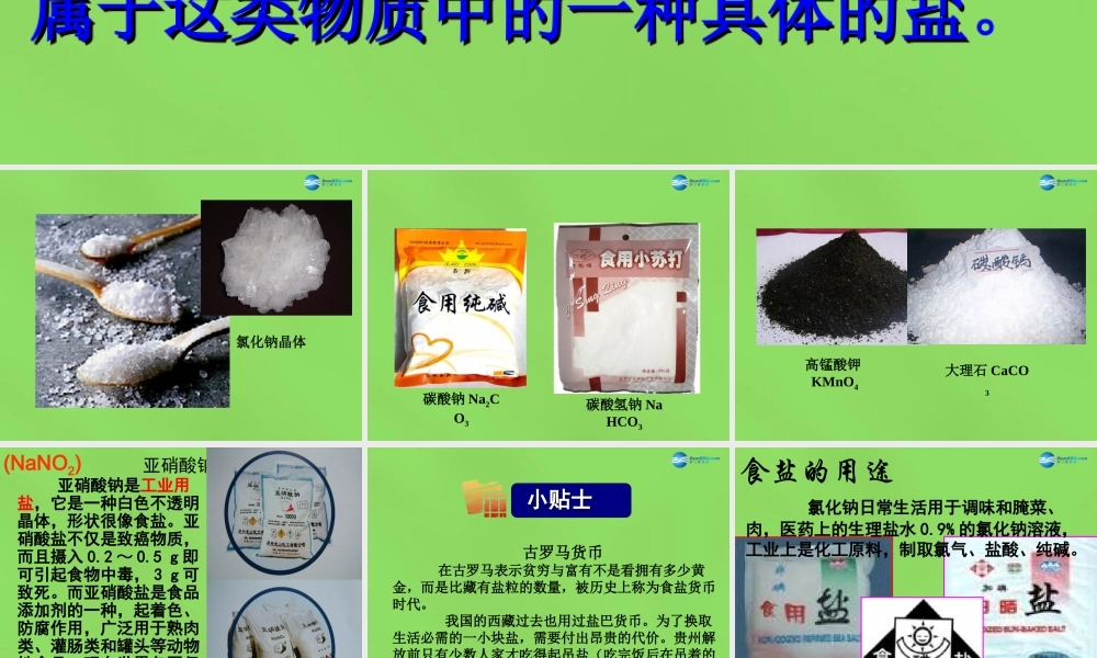 人教初中化学九下《11课题1生活中常见的盐》PPT课件 (8).ppt