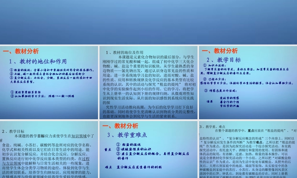 人教初中化学九下《11课题1生活中常见的盐》PPT课件 (10).ppt