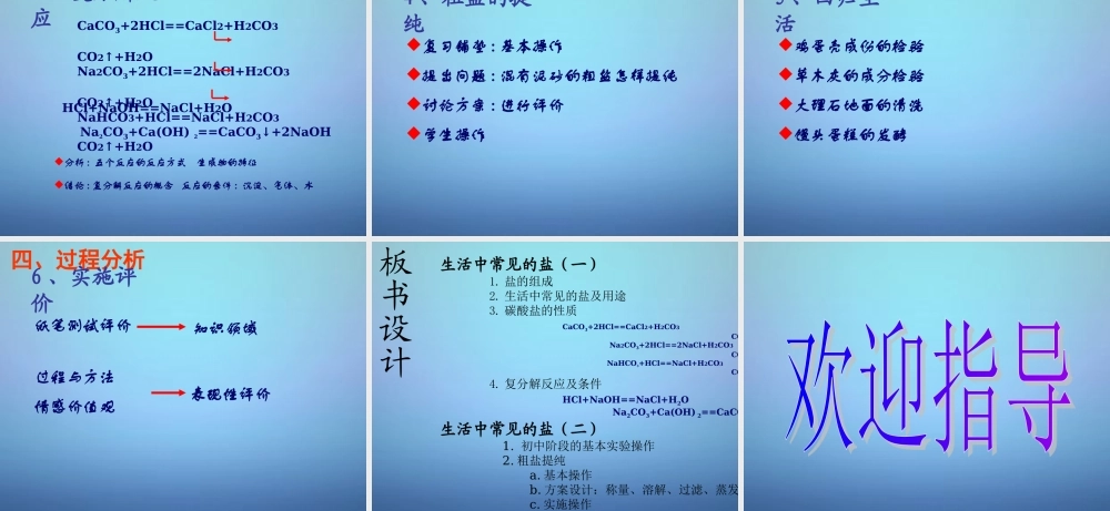 人教初中化学九下《11课题1生活中常见的盐》PPT课件 (10).ppt