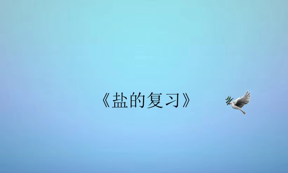 人教初中化学九下《11课题1生活中常见的盐》PPT课件 (11).ppt