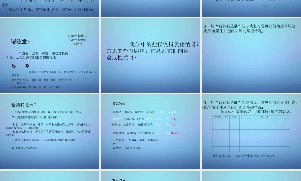 人教初中化学九下《11课题1生活中常见的盐》PPT课件 (11).ppt