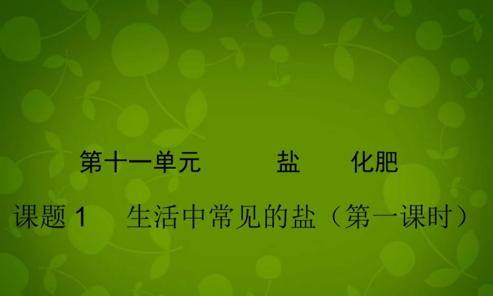 人教初中化学九下《11课题1生活中常见的盐》PPT课件 (16).ppt