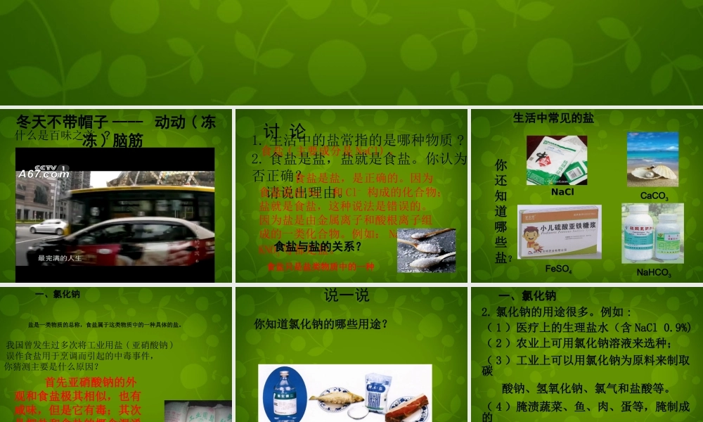 人教初中化学九下《11课题1生活中常见的盐》PPT课件 (16).ppt