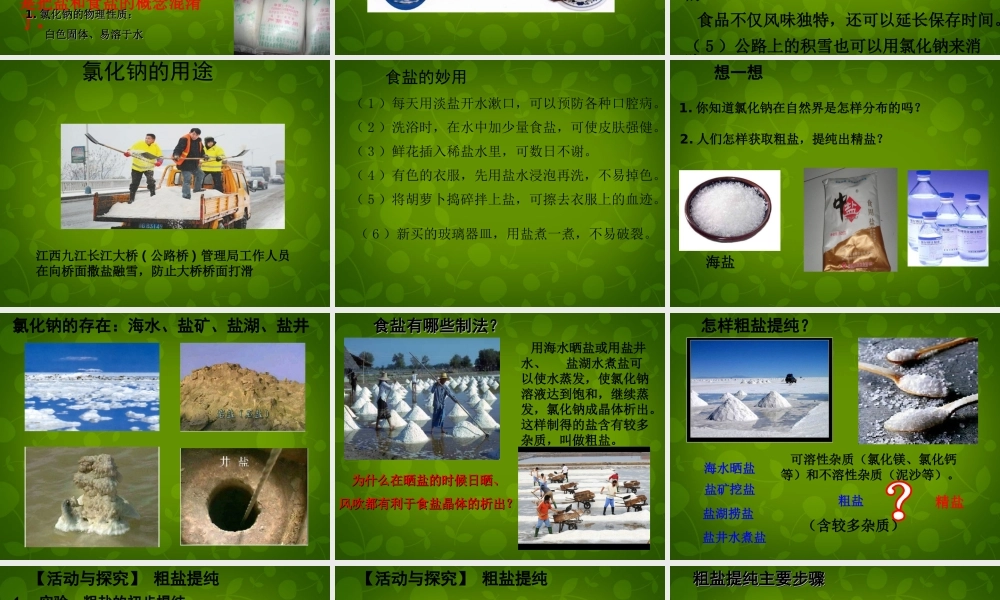 人教初中化学九下《11课题1生活中常见的盐》PPT课件 (16).ppt