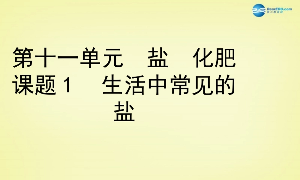 人教初中化学九下《11课题1生活中常见的盐》PPT课件 (13).ppt