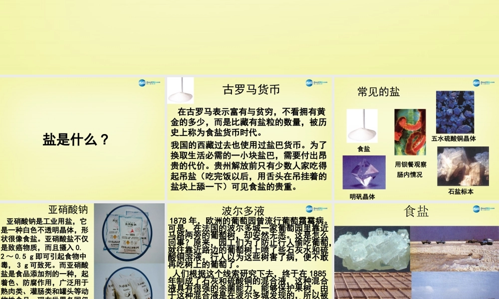 人教初中化学九下《11课题1生活中常见的盐》PPT课件 (13).ppt