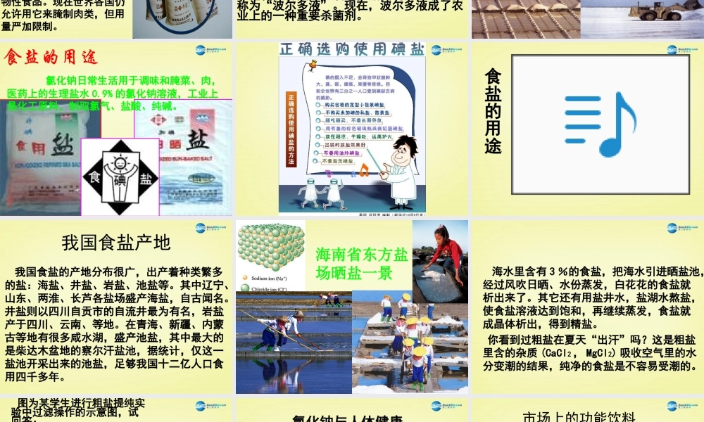 人教初中化学九下《11课题1生活中常见的盐》PPT课件 (13).ppt