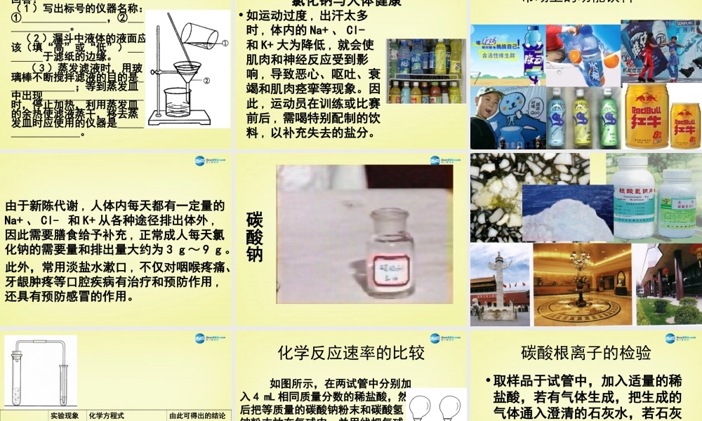 人教初中化学九下《11课题1生活中常见的盐》PPT课件 (13).ppt