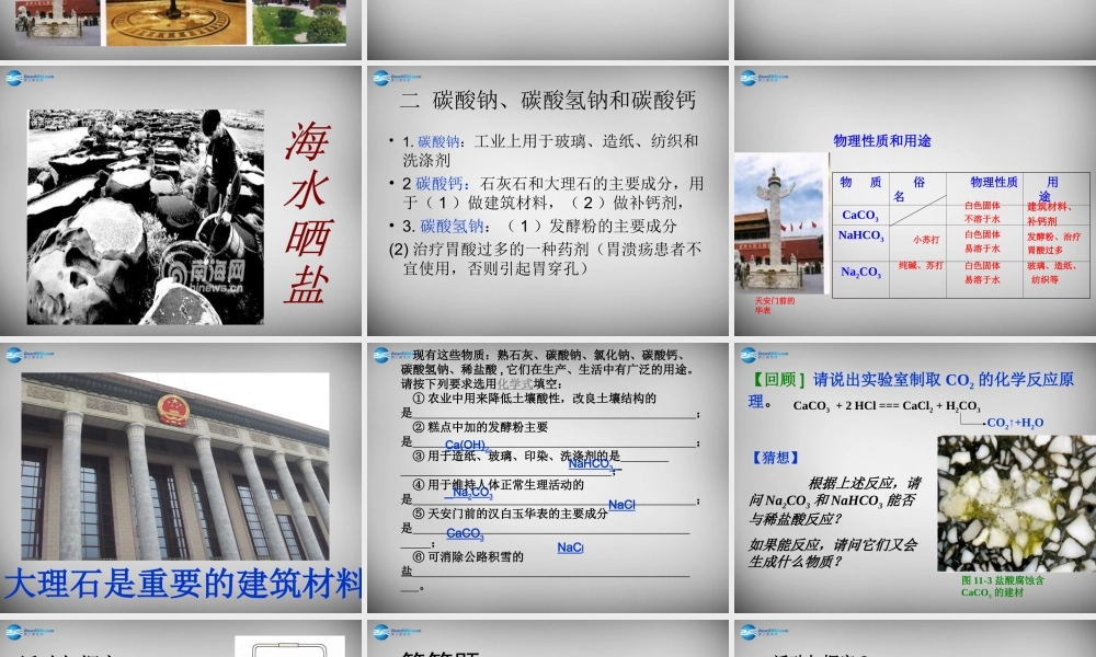 人教初中化学九下《11课题1生活中常见的盐》PPT课件 (18).ppt