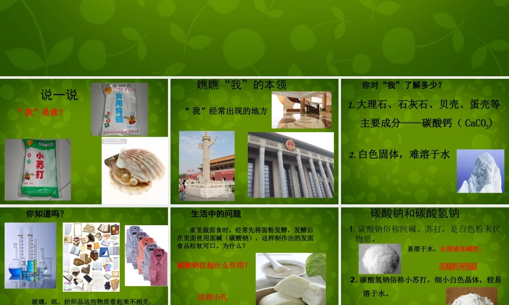 人教初中化学九下《11课题1生活中常见的盐》PPT课件 (17).ppt