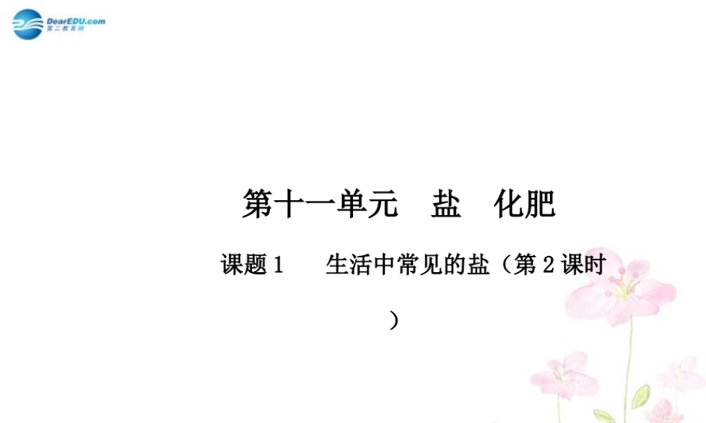 人教初中化学九下《11课题1生活中常见的盐》PPT课件 (20).ppt