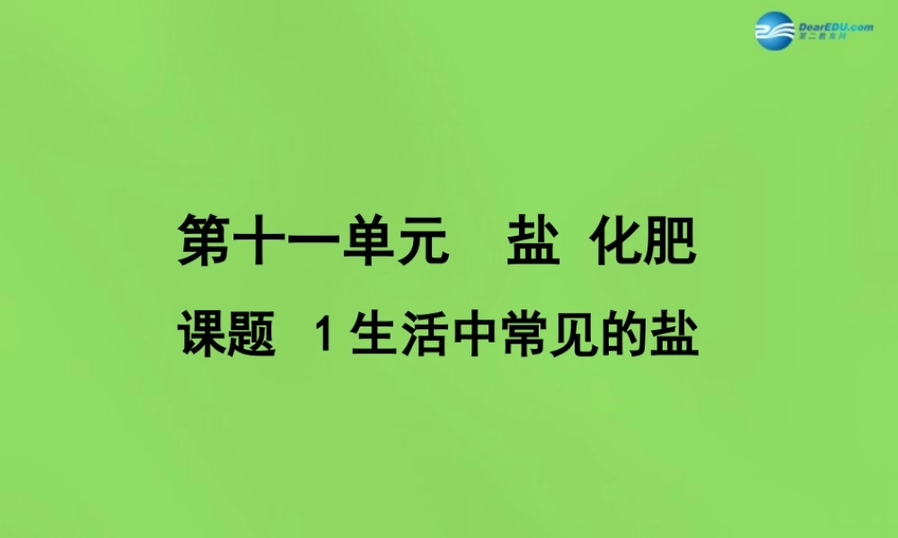 人教初中化学九下《11课题1生活中常见的盐》PPT课件 (22).ppt