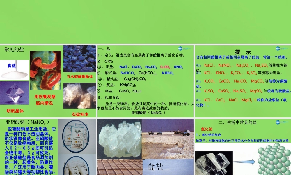 人教初中化学九下《11课题1生活中常见的盐》PPT课件 (22).ppt