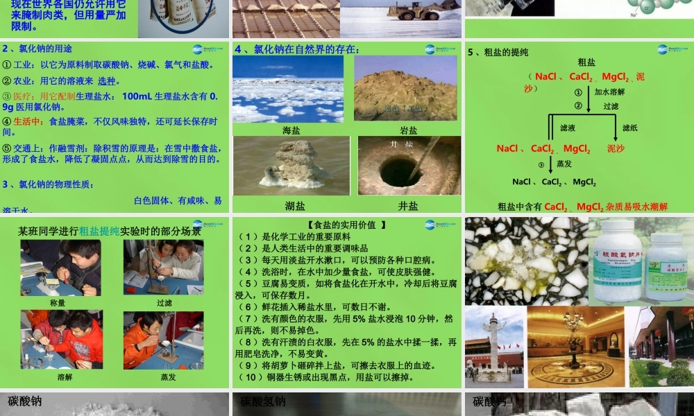 人教初中化学九下《11课题1生活中常见的盐》PPT课件 (22).ppt