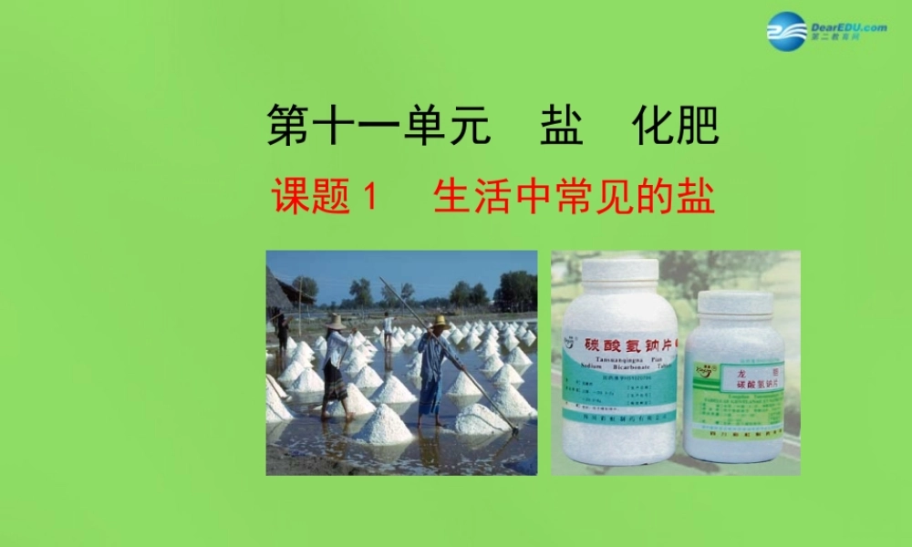 人教初中化学九下《11课题1生活中常见的盐》PPT课件 (21).ppt
