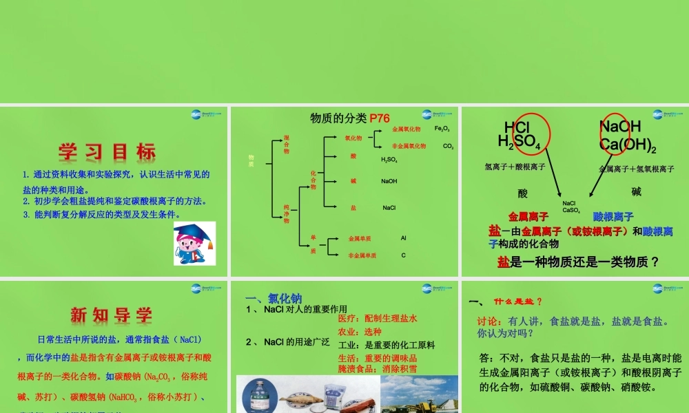 人教初中化学九下《11课题1生活中常见的盐》PPT课件 (21).ppt